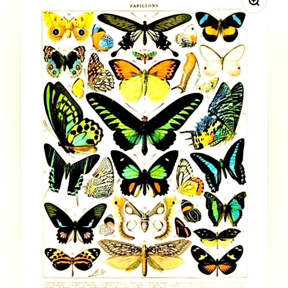 Butterfly Wall Hanging Tea Towel